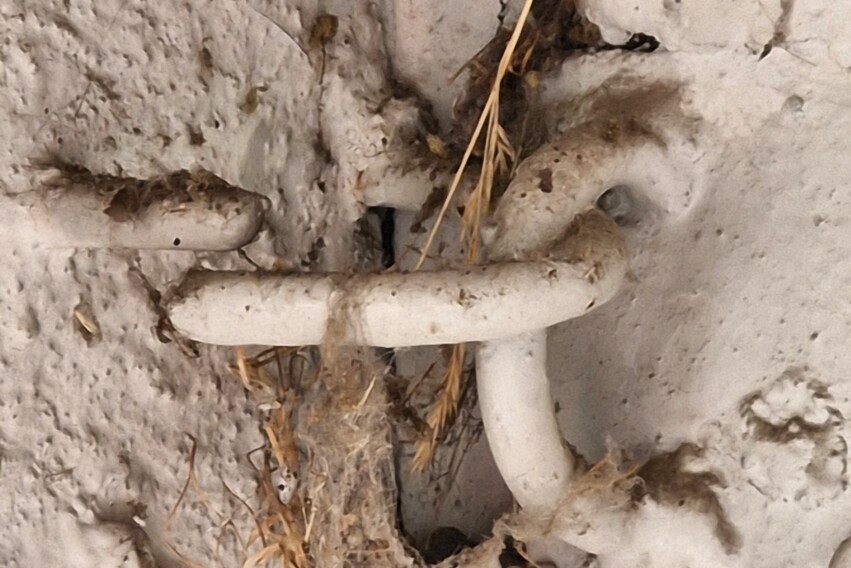 Gutachten Spannbetonbinder - Detail Gutachten Spannbetonbinder - Detail