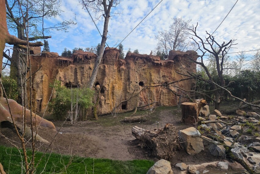 Zoo - Inselwelten - Kunstfelsen