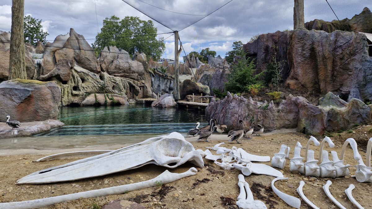 Zoo Feuerland-neue Wasserwelt Zoo Feuerland-neue Wasserwelt