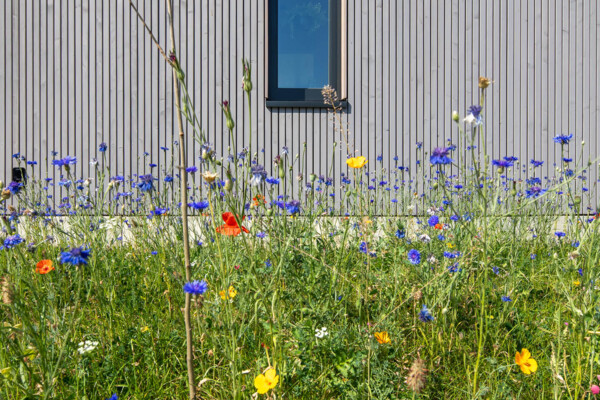 Sonnenwinkel - ökologischer Bau (Foto Stefan Unnewehr) Sonnenwinkel - ökologischer Bau (Foto Stefan Unnewehr)