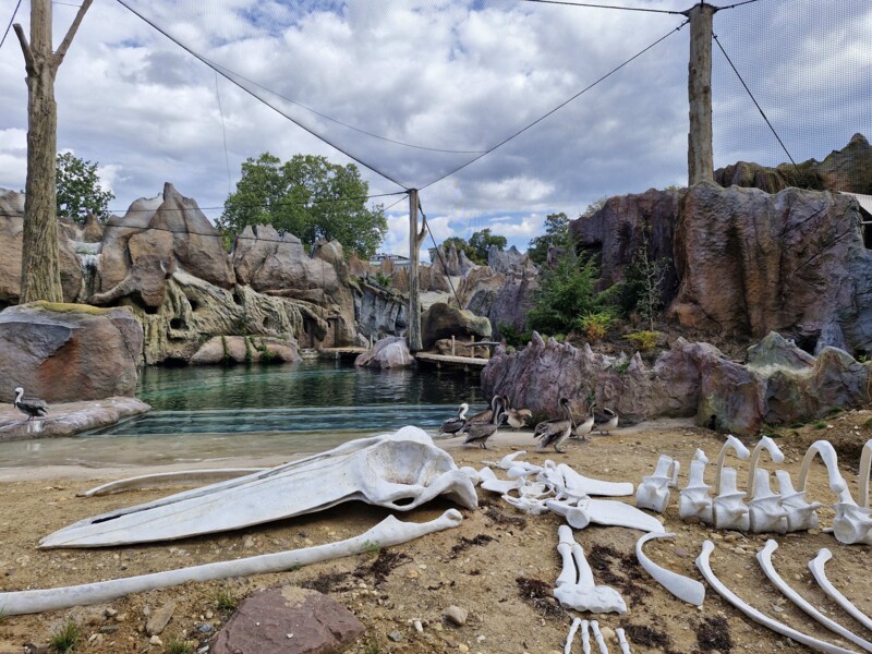Zoo Feuerland-neue Wasserwelt